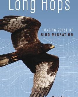 Long Hops: Making Sense of Bird Migration